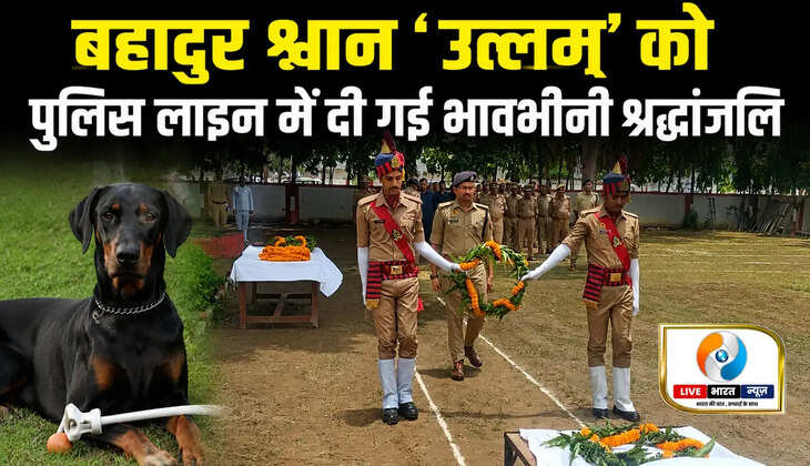 गोरखपुर पुलिस ने बहादुर श्वान &lsquo;उत्लम&rsquo; को दी अंतिम विदाई, SSP डॉ. कोस्तुभ ने अर्पित की श्रद्धांजलि