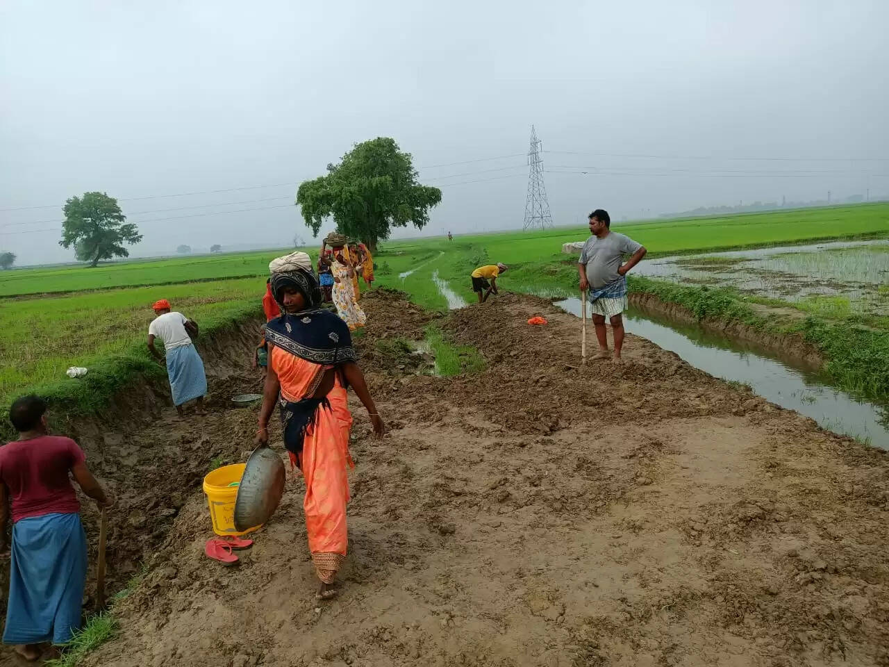 नेगुरा ग्राम सभा में विकास को लेकर अहम बैठक, ग्रामीणों ने सराहा प्रधान का कार्य