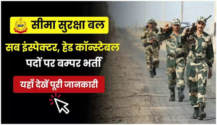 BSF Sarkari Naukri: BSF में अच्छी सैलरी के साथ इन पदों पर निकली बम्पर वैकेंसी, यहां देखें आवेदन की प्रक्रिया