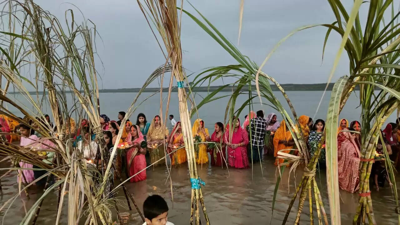 सहजनवा / गोरखपुर।
