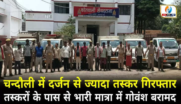 चंदौली में 15 शातिर गोतस्कर गिरफ्तार, उनके पास से 15 गोवंश बरामद