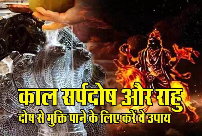 Shiva worship on Mahashivratri: इस शिवरात्रि करें ये उपाए, हो जाएं कालसर्प दोष से मुक्त, इस मंत्र का जाप और व्रत दिलाएगा छुटकारा	