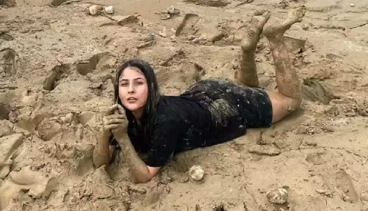 shehnaaz gill social media: हैरान कर देगा शहनाज गिल का ये वीडियो, फैंस बोले &ndash; ये लड़की पागल है