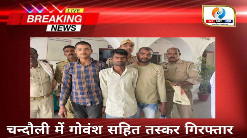 Chandauli News: चन्दौली में तस्करों सहित गोवंश बरामद, बिहार से बंगाल तक हो रही है तस्करी