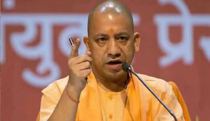 yogi