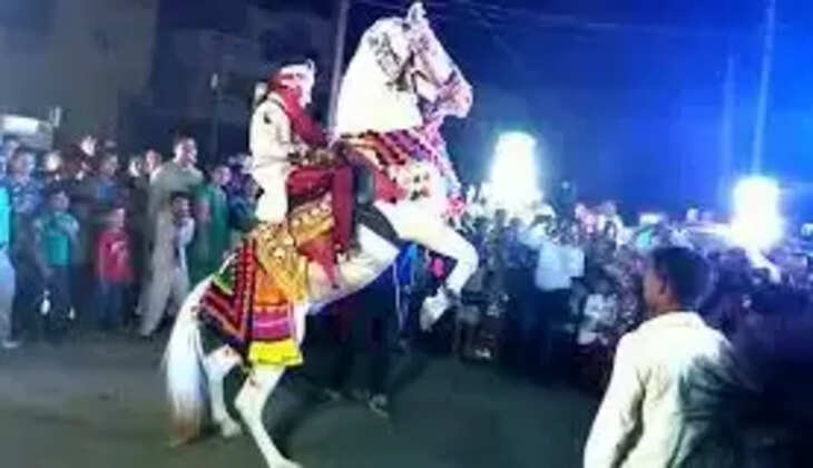 The Horse was Dancing: बारात में नाच रहा था घोड़ा,&nbsp;फिर क्या हुआ दूल्हे के साथ, जो ...देखकर सभी की आंखें फटी रह गई &nbsp;