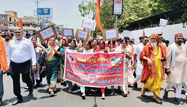 gotaskari,haryana news,haryana news in hindi,news in hindi,haryana news live,latest haryana news,haryana news live today,hindinews,alwar,firing,ramgarh mob lynching case,punjab kesari,cow smmuggling,punjab kesari haryana,haryana,pk haryana,rajasthan,cow smuggler,mob lynching,cow protector,latest haryana,encounter on sohna road,live updates,gurugram,encounter with smugglers,police,gyandev ahuja