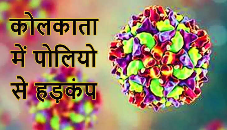 पोलियो का पता चलने के बाद कोलकाता के छह इलाकों पर नजर,&nbsp;नाले के पानी में मिला पोलियो वायरस