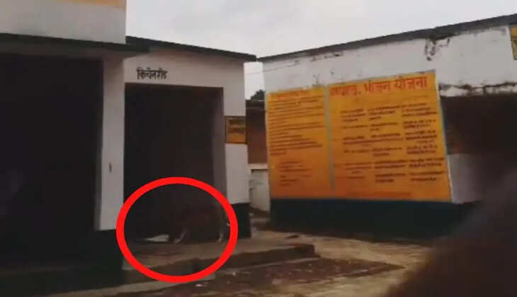 चंदौली: जमसोत प्राथमिक विद्यालय के मिड-डे मील पर विवाद, वायरल वीडियो के बाद जांच शुरू