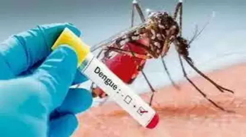 इस साल बारिश से जलभराव अधिक हुआ। इससे मच्छरों को पनपने में मदद मिली। अब सर्दी बढ़ी है। धीरे-धीरे डेंगू का असर कम होने लगेगा। विभाग की ओर से हर स्तर पर अभियान चलाया जा रहा है। -डॉ. वेदब्रत सिंह, महानिदेशक स्वास्थ्य   Read more: https://www.amarujala.com/lucknow/dengue-patients-doubled-in-a-month-in-up