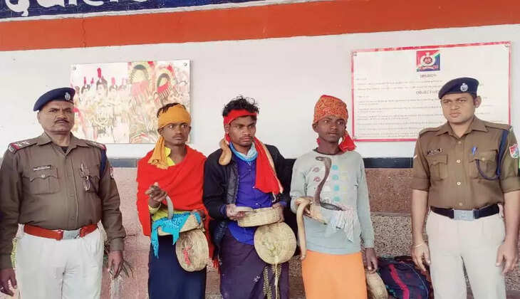 चन्दौली में 3 सपेरों सहित 5 साँपो को आरपीएफ ने डीडीयू जंक्शन पर पकड़ा