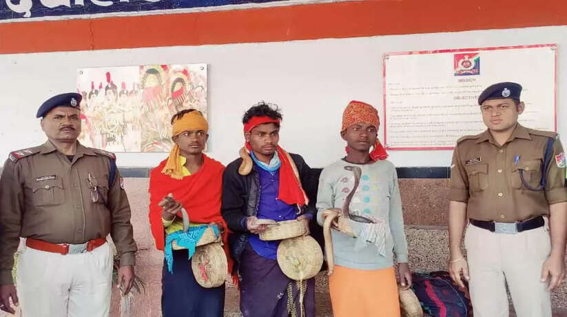 चन्दौली में 3 सपेरों सहित 5 साँपो को आरपीएफ ने डीडीयू जंक्शन पर पकड़ा