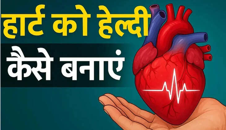 सैल्मन, बांगड़ा और सार्डिन में भरपूर मात्रा में पाया जाता है ओमेगा-3 फैटी एसिड, संतुलित खानपान के साथ सेवन से मिल सकता है दिल की सेहत को फायदा