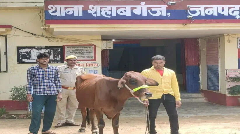 Chandauli News: चन्दौली में पशु चोरी करने वाले 02 शातिर चोर गिरफ्तार, रात्रि में घर के बाहर बंधें पशुओं की करते थे चोरी