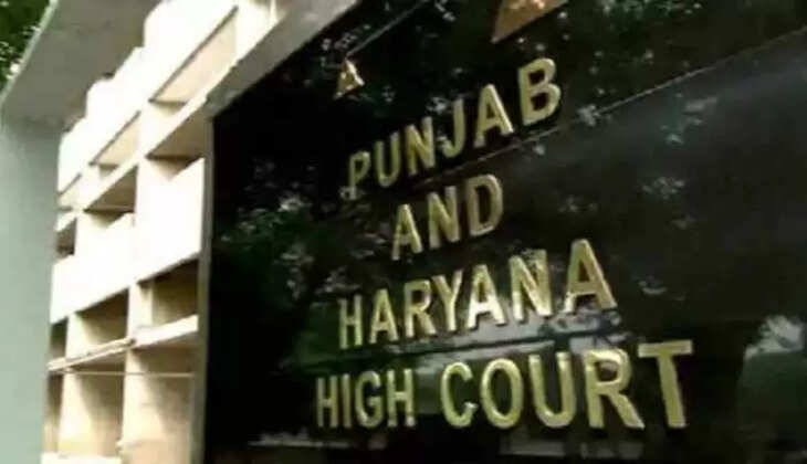 हाईकोर्ट ने कहा- अनुकंपा आधार पर नौकरी आरक्षण के समान नहीं
