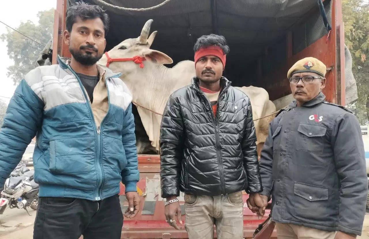 Chandauli News: सैयदराजा पुलिस ने सघन चेकिंग अभियान के दौरान एक DCM से 11 राशि गोवंश गाय व तीन राशि गाय के बछड़े सहित दो पशु तस्कर को किया गिरफ्तार