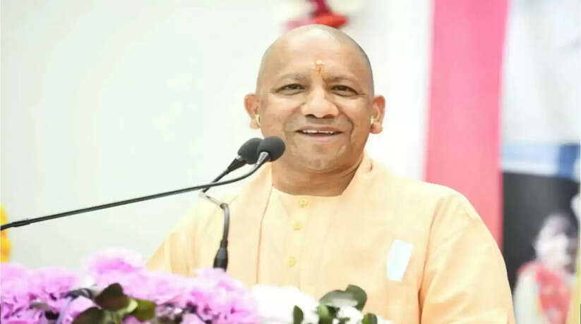yogi