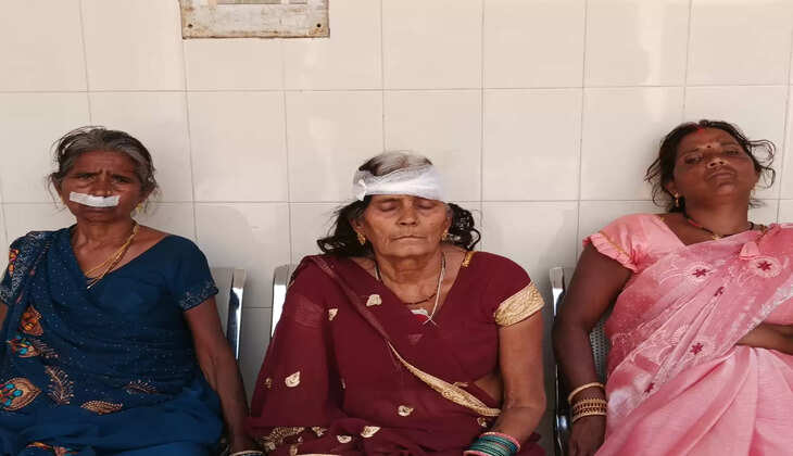 सड़क हादसे में एक परिवार के आठ लोग घायल एक महिला की मौत