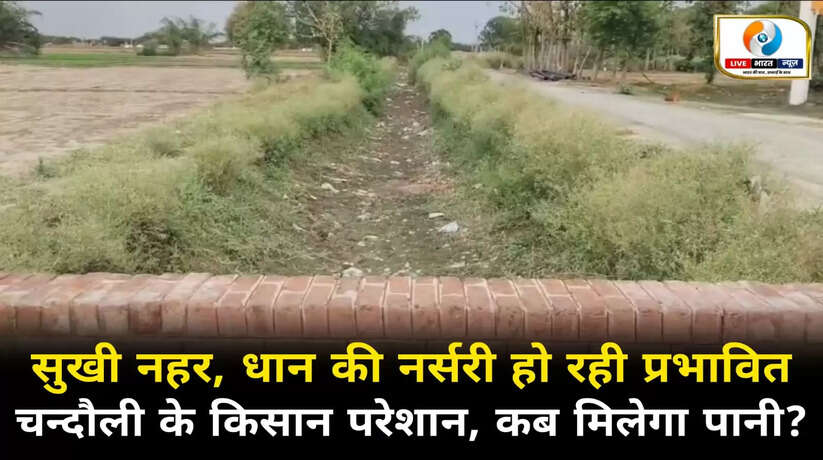 नहरों में पानी न होने से धान की नर्सरी हो रही प्रभावित, कब मिलेगा किसानों को पानी?