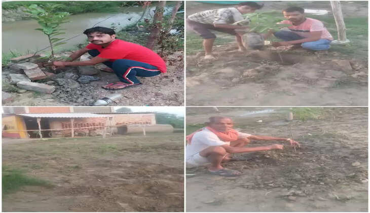रायबरेली&nbsp;में&nbsp;सिंह ढाबा गुमावां बार्डर&nbsp;की तरफ से लगाये गए सैकड़ो पेड़
