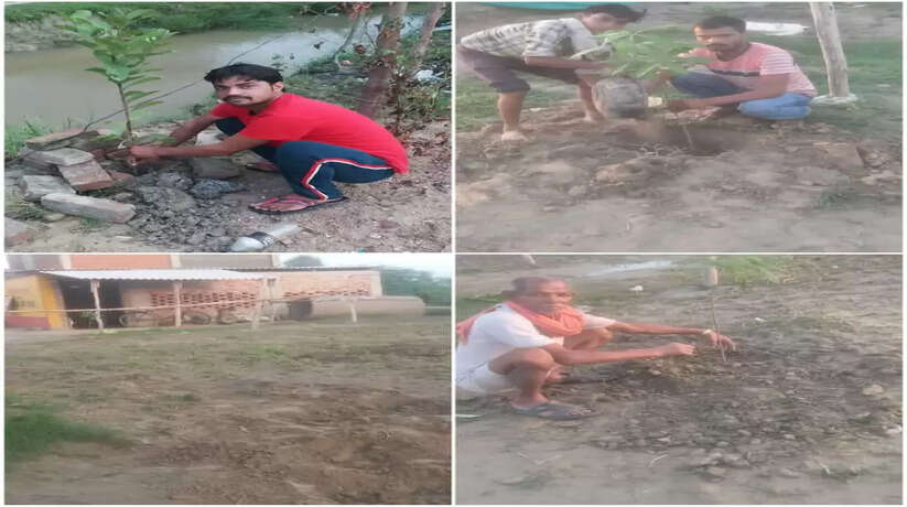 रायबरेली में सिंह ढाबा गुमावां बार्डर की तरफ से लगाये गए सैकड़ो पेड़