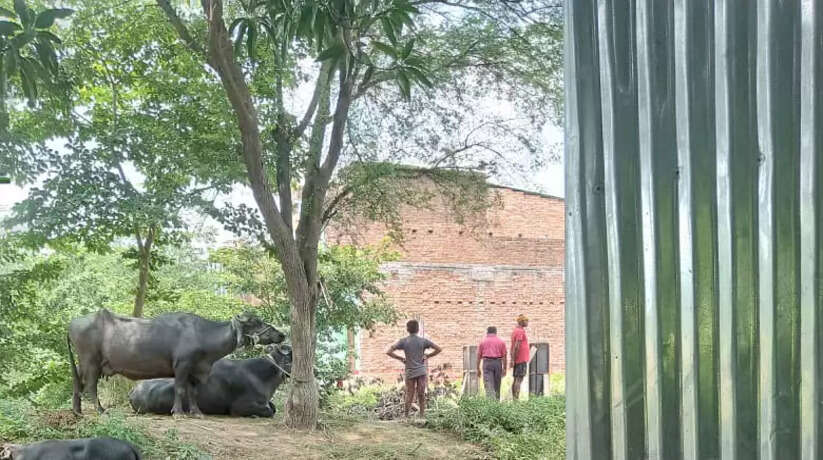 अयोध्या: तालाब पर हो रहे अवैध निर्माण को तत्काल रोके जाने के डीएम ने दिए आदेश