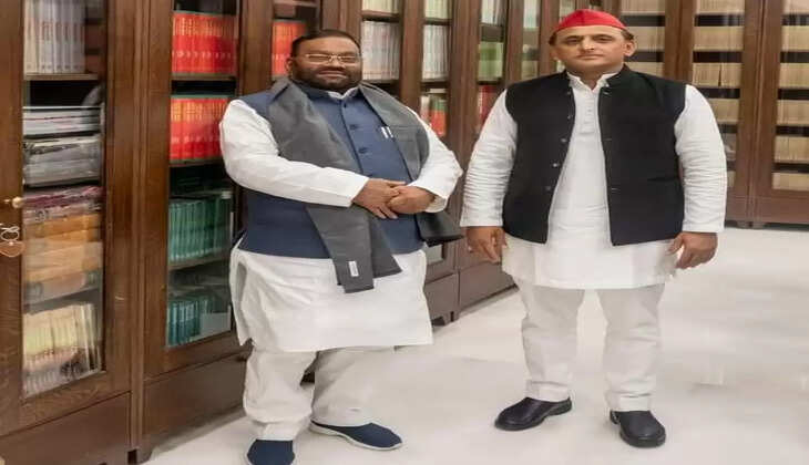 up election news