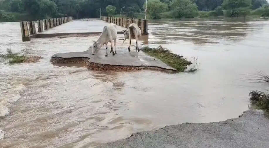मिर्जापुर में बाढ़ से बड़ी राहत, जलस्तर घटा तो खुले प्रभावित रास्ते