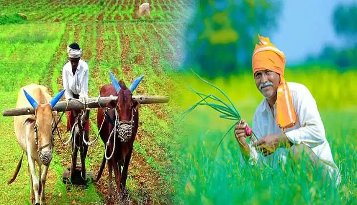 चंदौली में किसानों के लिए खुशखबरी, अंगूठा लगाते ही किसानों को मुफ्त मिलेगा मिनी किट का बीज