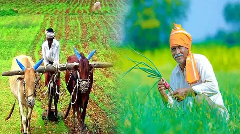 चंदौली में किसानों के लिए खुशखबरी, अंगूठा लगाते ही किसानों को मुफ्त मिलेगा मिनी किट का बीज