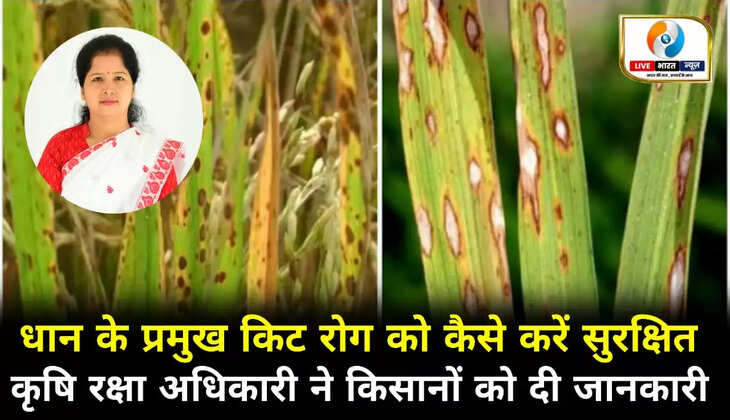 चन्दौली। 