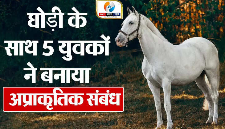 यूपी में इंसानियत को शर्मसार करने वाला मामला, 5 लोगों ने एक घोड़ी के साथ बनाया अप्राकृतिक संबंध, सोशल मीडिया पर वीडियो हुआ वायरल...