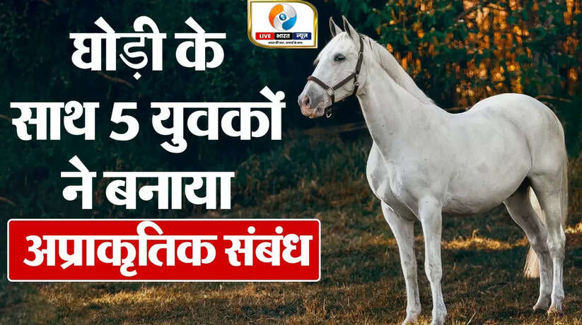 यूपी में इंसानियत को शर्मसार करने वाला मामला, 5 लोगों ने एक घोड़ी के साथ बनाया अप्राकृतिक संबंध, सोशल मीडिया पर वीडियो हुआ वायरल...