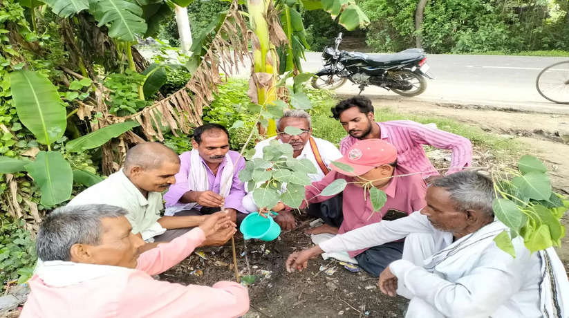 SP leader planted saplings in Ayodhya under PDA fortnight