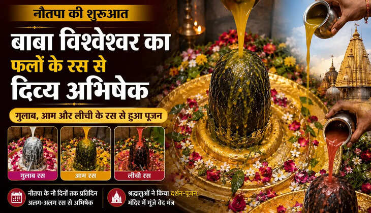 नौतपा की शुरुआत पर बाबा विश्वेश्वर का विशेष अभिषेक, फलों के रस से हुआ दिव्य श्रृंगार