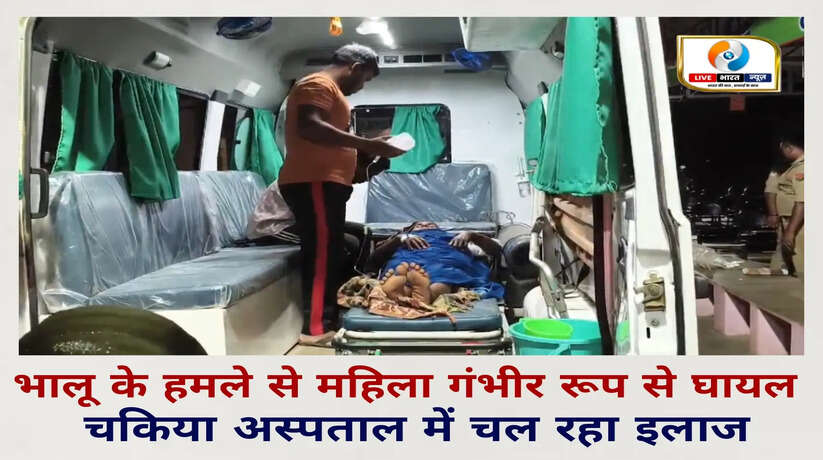 चन्दौली में भालू के हमले से महिला गंभीर रूप से घायल, चकिया अस्पताल में चल रहा इलाज