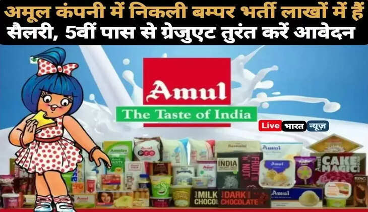 अमूल कंपनी में निकली बम्पर भर्ती लाखों में हैं सैलरी, 5वीं पास से लेकर ग्रेजुएट तक सभी करें आवेदन
