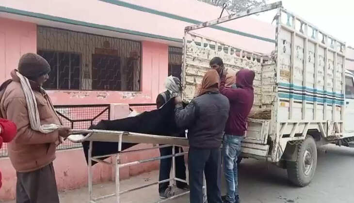 यूपी में&nbsp;ठंड का कहर! बाहर धूप ले रहे बुजुर्ग के सिर पर पेड़ की टहनी गिरने से हुई मौत