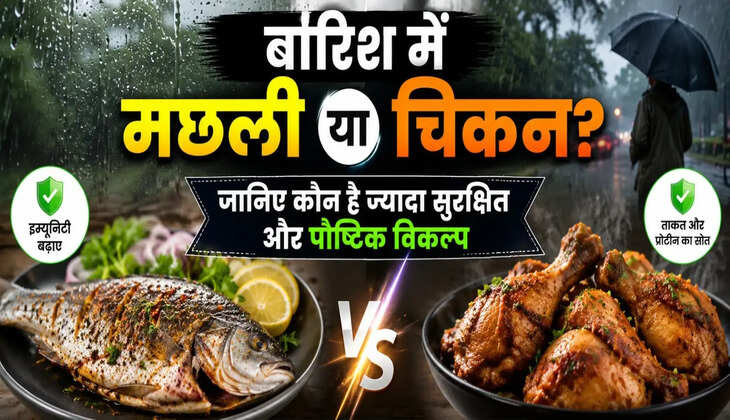 बारिश में मछली या चिकन? जानिए कौन है ज्यादा सुरक्षित और पौष्टिक विकल्प