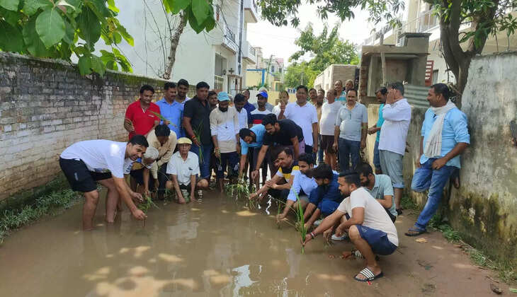 वाराणसी में जलजमाव की समस्या से परेशान लोगों ने गली में कर दी धान की रोपाई