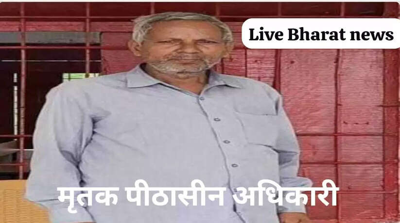 Pryagraj News: गोविंद बल्लभ पंत संस्थान झूंसी के सामने सड़क किनारे पीठासीन अधिकारी हार्ट अटैक से मौत