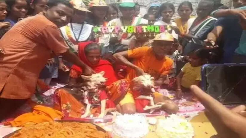 यूपी में दो कुत्तों का धूमधाम से मनाया गया जन्मदिन, मालिक अपनी जायदाद भी करेगा इनके नाम