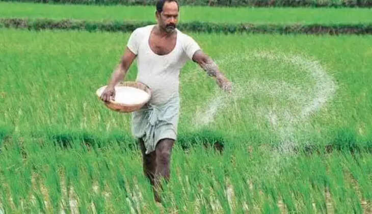 चंदौली को मिली इफको, डीएपी व एन.पी.के खाद, किसानों के चेहरे खिले