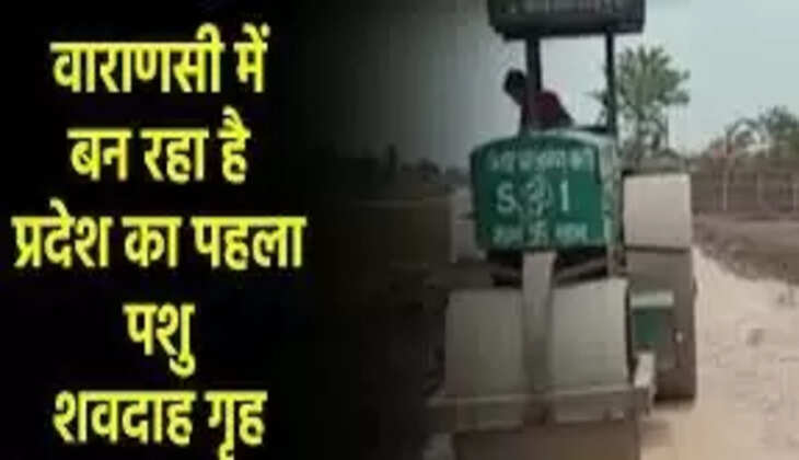 वाराणसी में बन रहा यूपी का पहला पशु शवदाह गृह, राख से बनेगा खाद