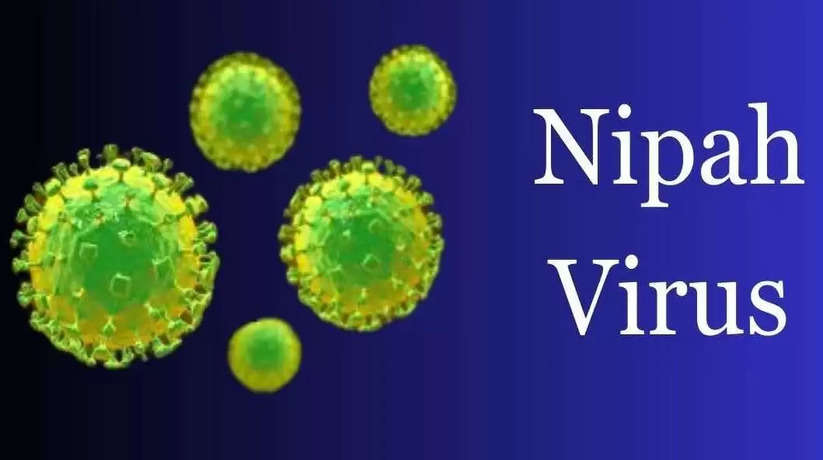 nipah virus,nipah virus latest news,nipah virus kerala,nipah virus news,nipah virus symptoms,nipah virus in kerala,nipah virus treatment,what is nipah virus,kerala news,nipah virus in india,kozhikode nipah virus,is nipah virus real?,nipah virus infection,virus nipah movie,kerala nipah virus,how did nipah virus start in kerala?,nipah virus cure,2023 nipah virus outbreak3,nipah virus alert,nipah virus outbreak,nipah virus doubt,nipah