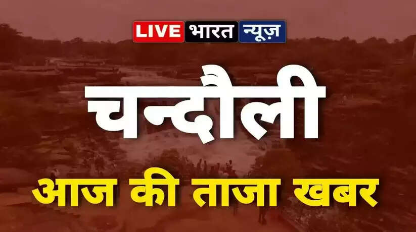 Chandauli News: काले चावल के बाद अब चंदौली प्लास्टिक और सर्जिकल उत्पाद भी करेगा निर्यात